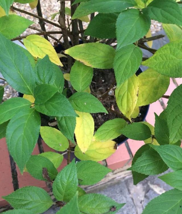 在夏天不要, KlGAj